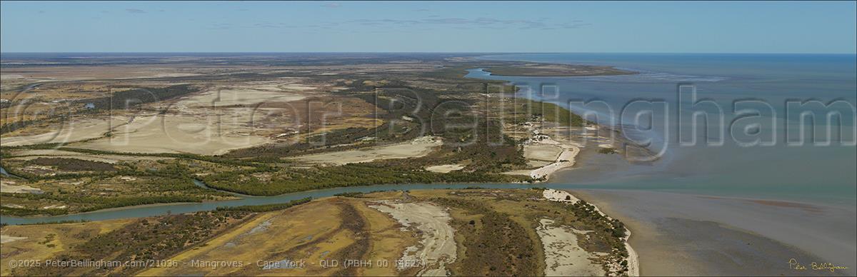 Peter Bellingham Photography Mangroves - Cape York - QLD (PBH4 00 14527)